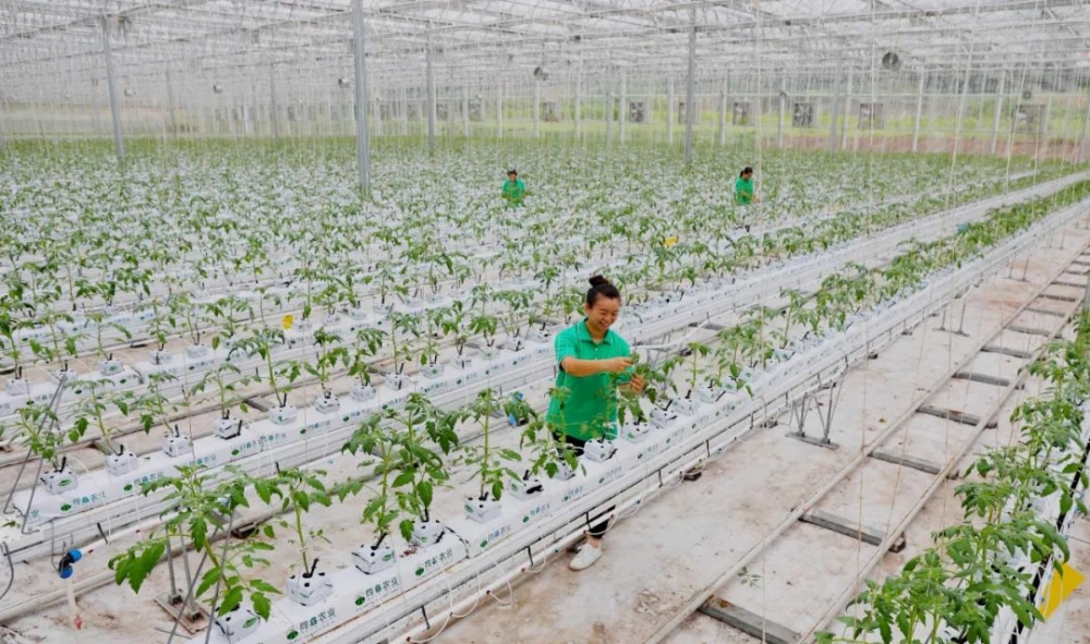 重庆市人民政府关于印发重庆市推进农业农村现代化“十四五”规划(2021—2025年)的通知【图片解读】 重庆市人民政府关于印发重庆市推进农业农村现代化“十四五”规划(2021—2025年)的通知【图片解读】