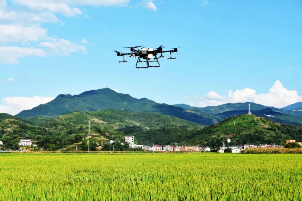 重庆市人民政府关于印发重庆市推进农业农村现代化“十四五”规划(2021—2025年)的通知【图片解读】 重庆市人民政府关于印发重庆市推进农业农村现代化“十四五”规划(2021—2025年)的通知【图片解读】