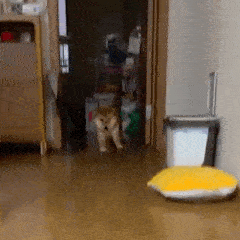 微信图片_20220525175403.gif 图片