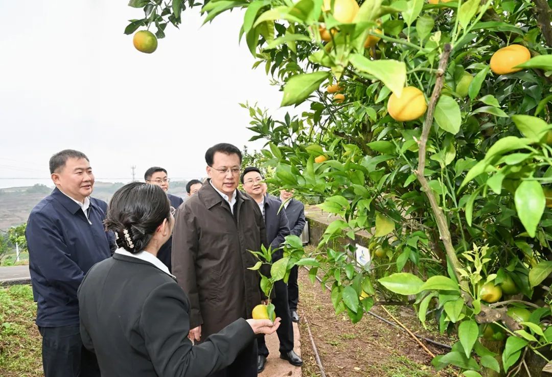 640_wx_fmt=jpeg&wxfrom=5&wx_lazy=1&wx_co=1 (1).jpg